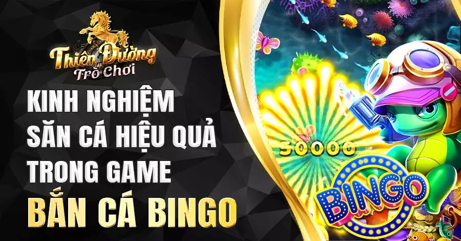 Kinh nghiệm săn cá hiệu quả trong game săn cá Bingo