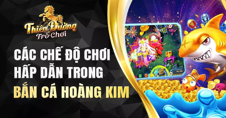 Các chế độ khi tham gia săn cá Hoàng Kim TDTC