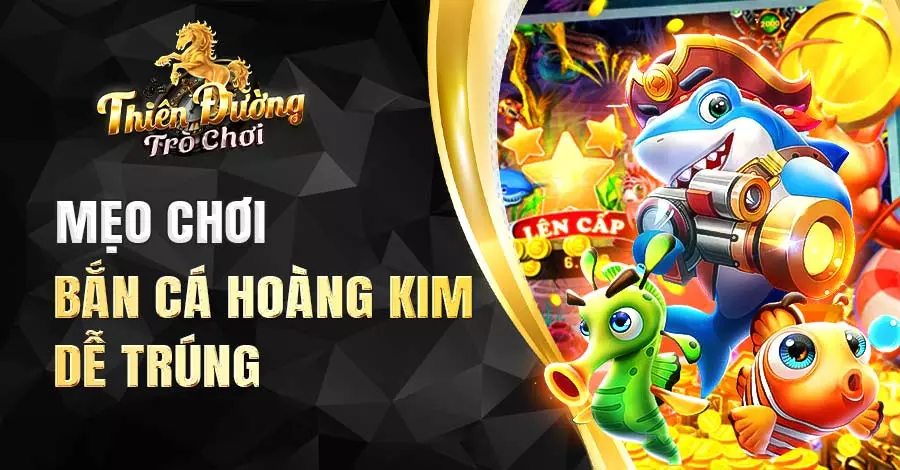 Một số kinh nghiệm săn cá khi chơi